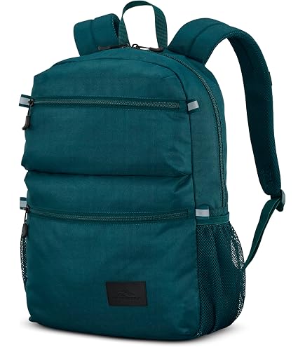 Amazon.com | Teal Backpack for Boy Girl Bookbag School Bag